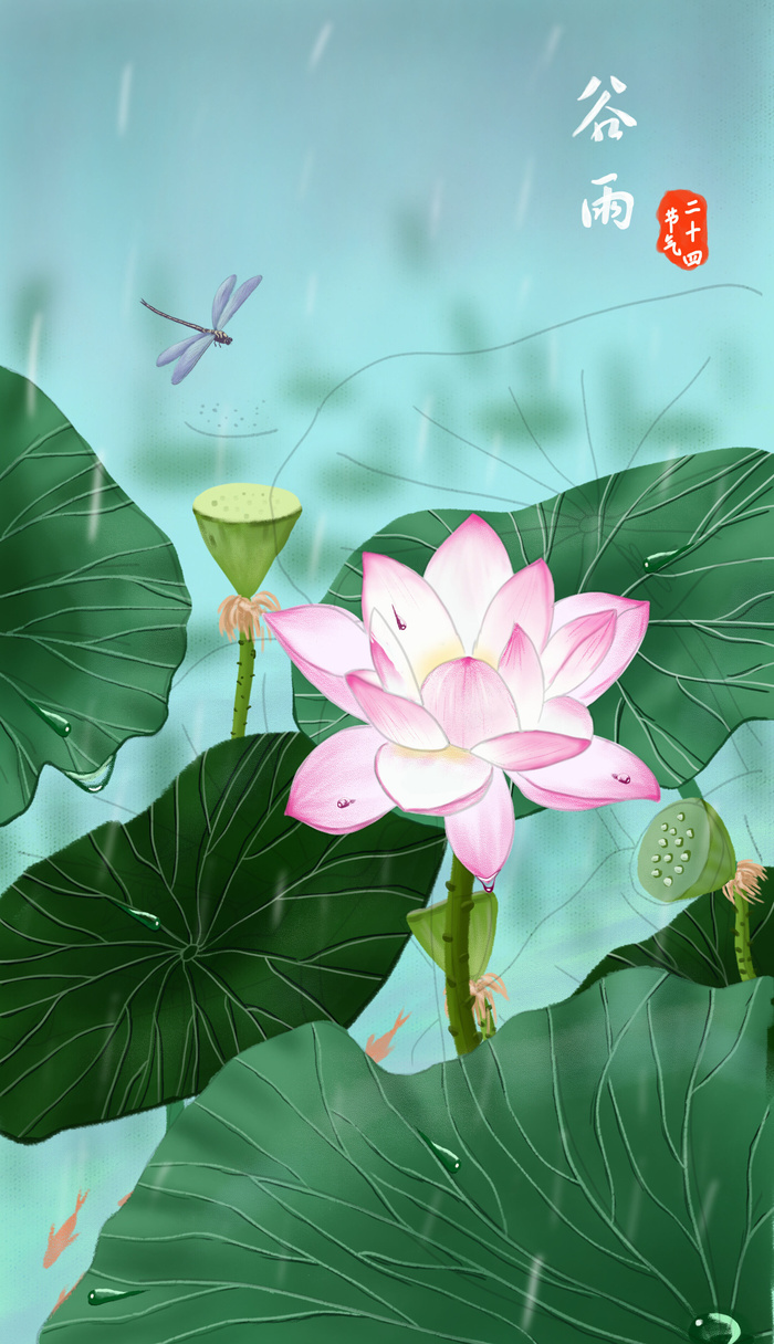 谷雨荷花插画