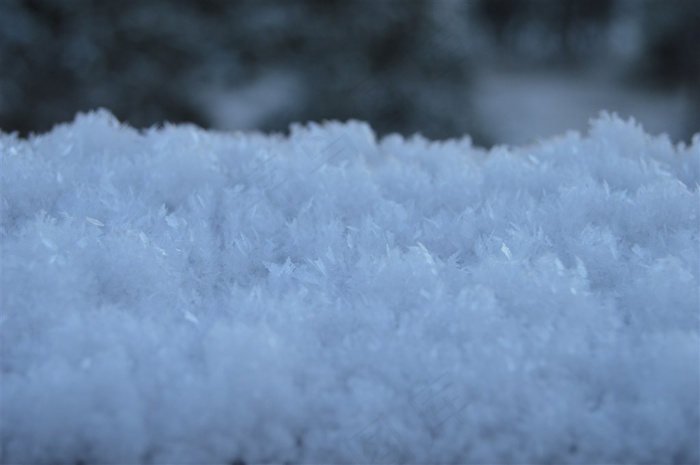 冬季晶莹的雪花高清图