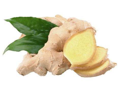 生姜 PNG免抠(600x467)