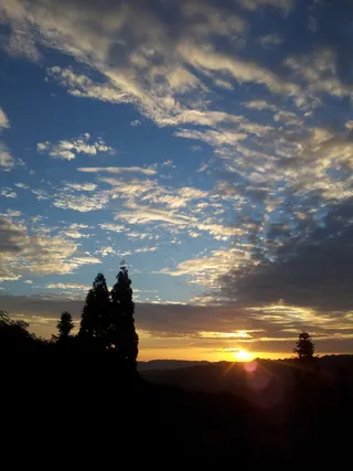 碧峰峡风景图片下载