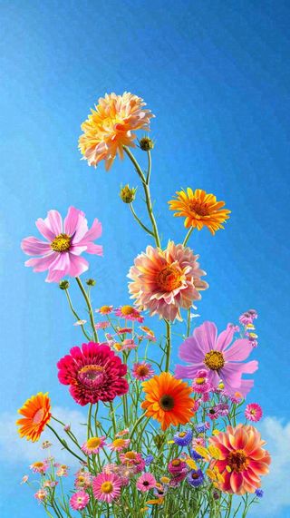 春天蓝天白云草坪鲜花，五彩缤纷鲜艳摄影图