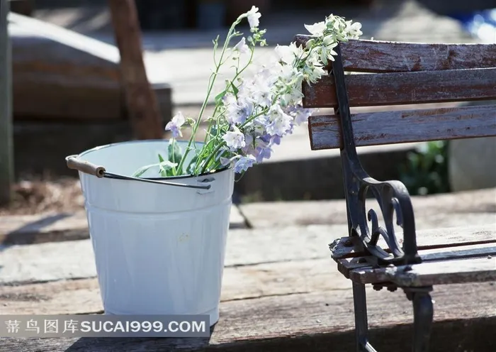 水桶中的鲜花和休闲椅图片素材