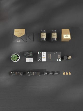 高端品牌茶叶包装盒纸袋智能贴图样机产品效果图展示PSD素材模板