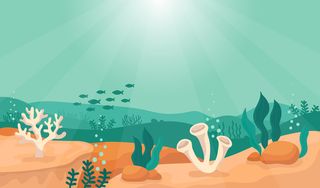 阳光下的卡通海底