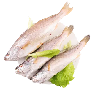 三牙鱼海鲜超市商品红酒白底图免抠实物摄影png格式图片透明底