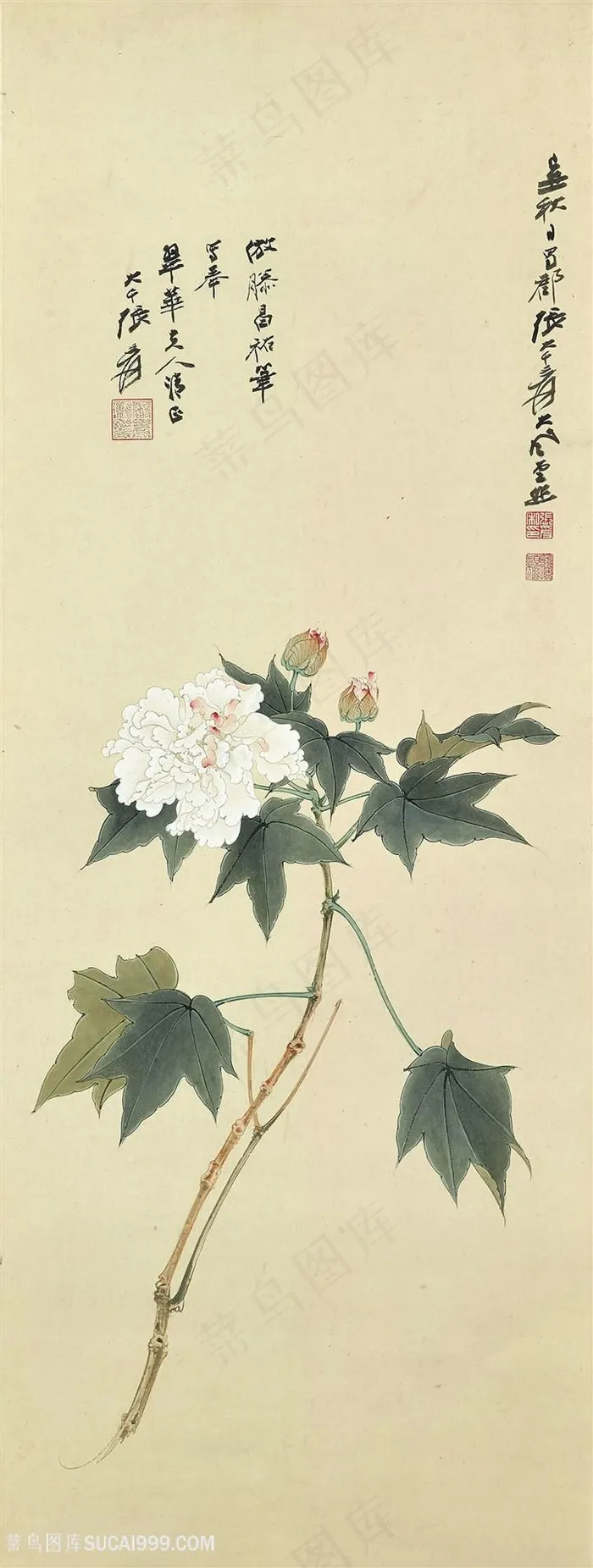 张大千工笔画花朵国画图片