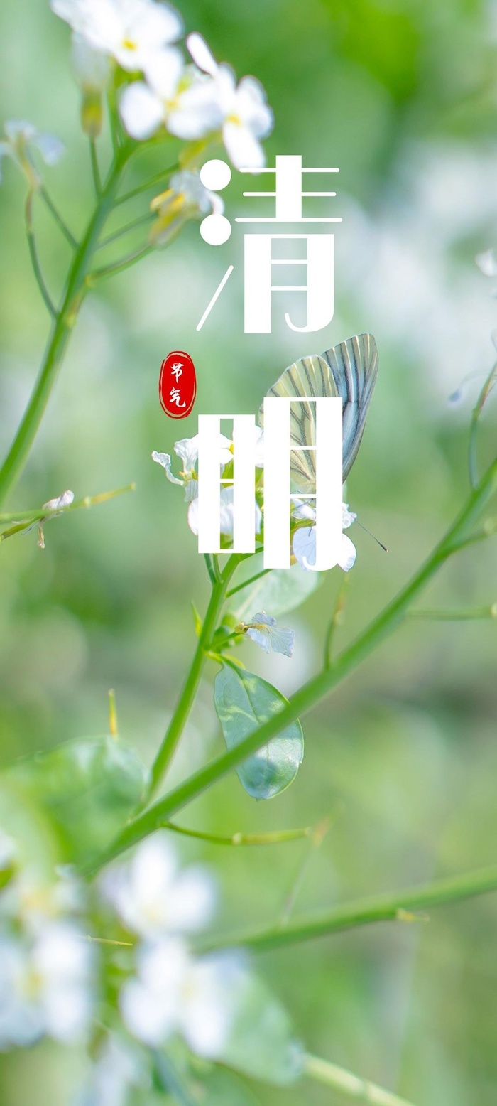 清明节海报