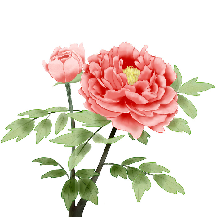 手绘国潮中国风古典牡丹花国花花卉装饰图案PSD设计素材