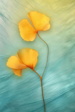 简约大气渐变落叶黄色秋叶背景