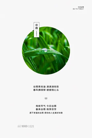 谷雨二十四节气海报设计