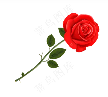 一支美丽的红玫瑰花素材
