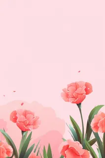简约粉色康乃馨插画背景