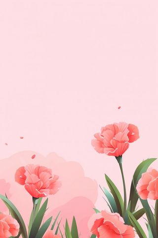 简约粉色康乃馨插画背景
