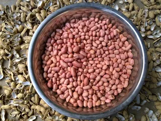 特大颗的花生米