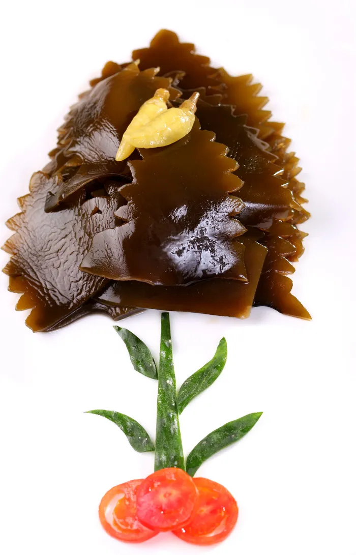 L02724山椒裙带掌 (2)