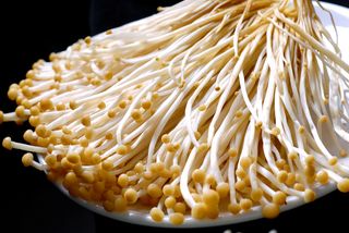 蘑菇香菇金针菇杂菇菌类美食素菜