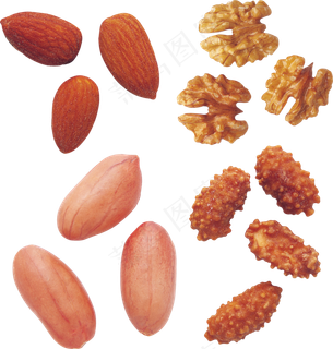 免扣png花生 