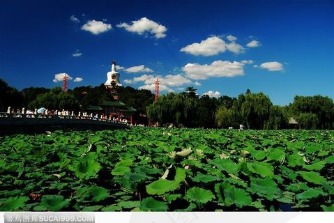 北京北海公园图片