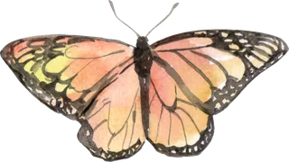 插画免抠高清素材