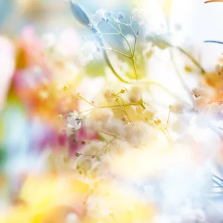 清新淡雅的背景图片 清新淡雅的背景图片