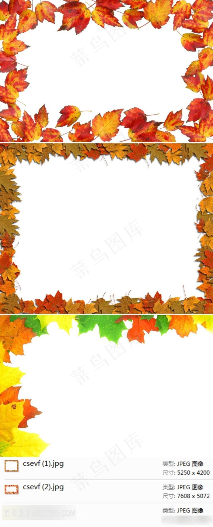 秋叶装饰边框素材