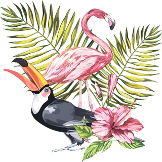 火烈鸟与大嘴鸟