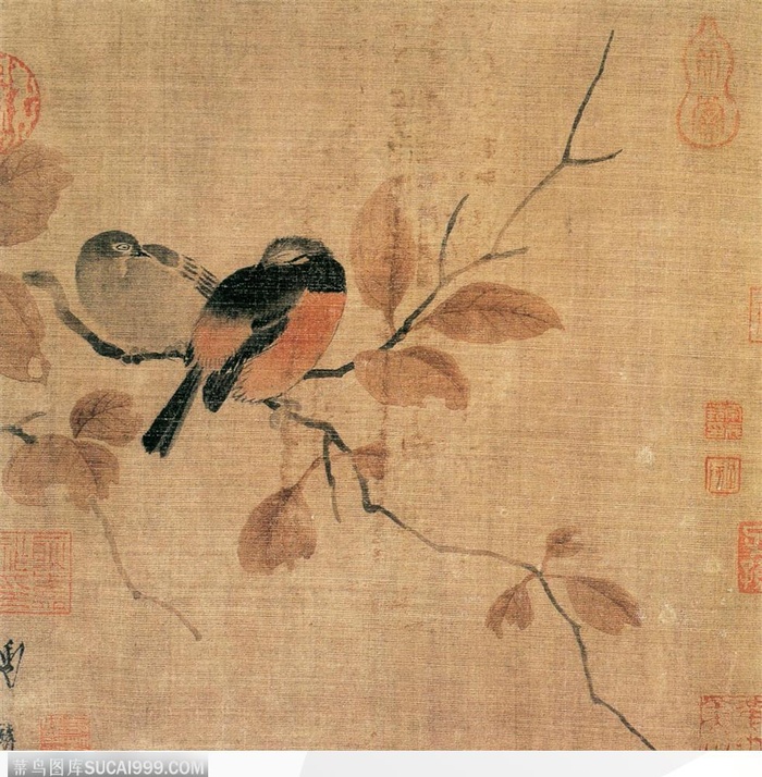 花鸟篇-鸟儿的枝上依恋