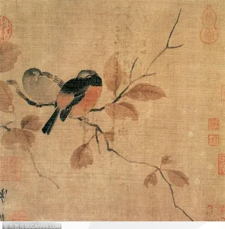 花鸟篇-鸟儿的枝上依恋