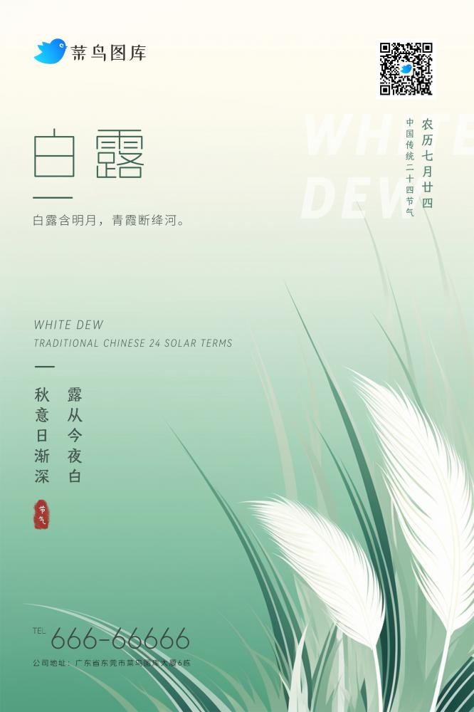 白露大气芦苇绿色渐变清新节气海报(2362x3543)psd模版下载