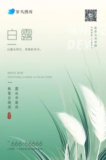 白露大气芦苇绿色渐变清新节气海报 白露大气芦苇绿色渐变清新节气海报