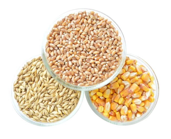坚果摆盘食品