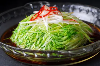 XCXC1350高山脆松柳