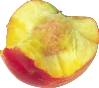 91_peach_PNG4848