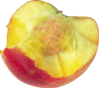 91_peach_PNG4848
