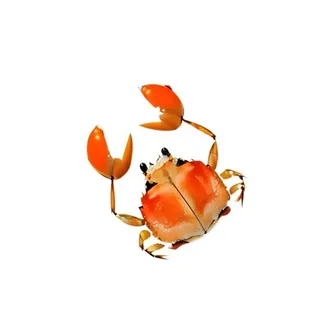 螃蟹免抠