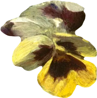 复古油画质感宫廷花卉植物花朵鲜花拼贴图案PNG免抠图片设计素材