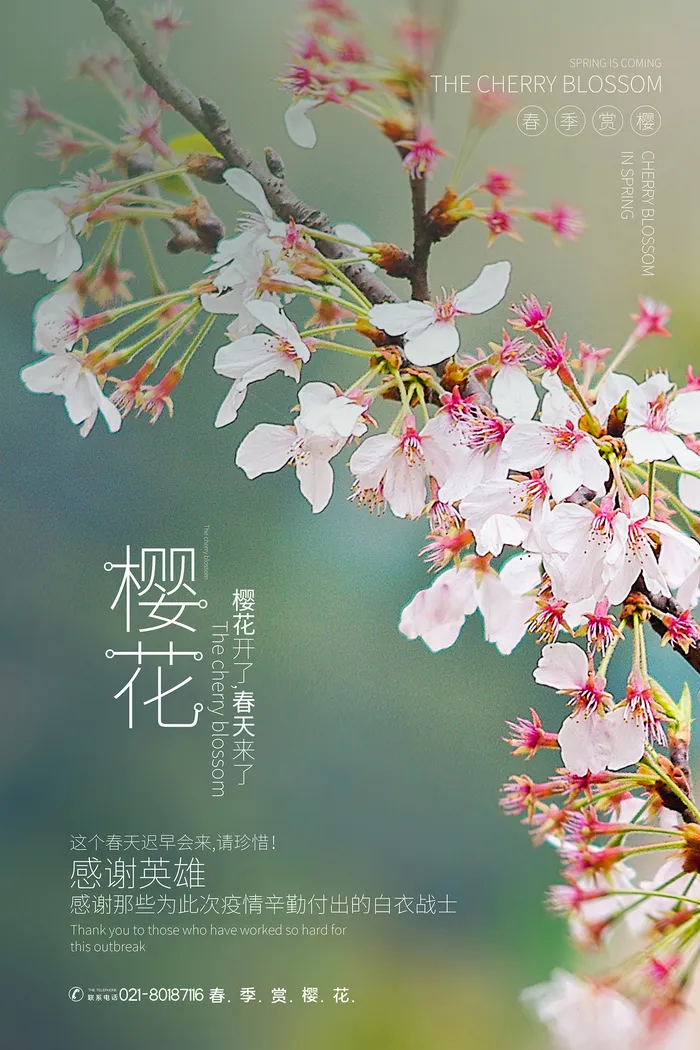 春季旅游清新创意樱花节海报