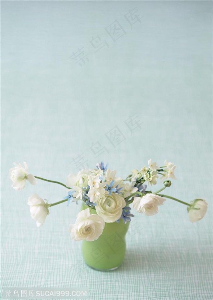 家俱饰品-插座小花瓶里的小白花