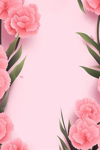 简约粉色康乃馨插画背景