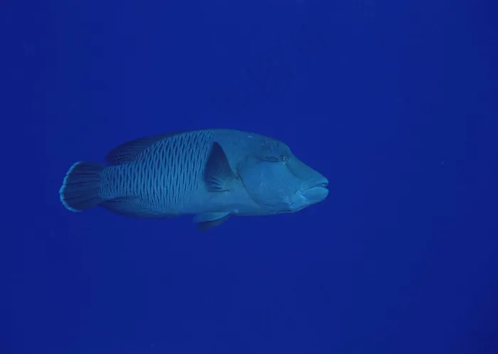 海底世界 141