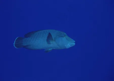 海底世界 141 海底世界 141