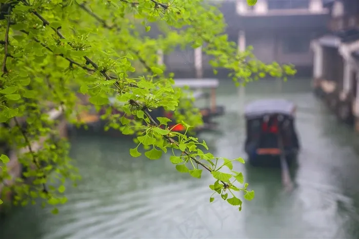 乌镇江南水乡古镇水镇烟雨江南