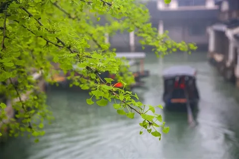 乌镇江南水乡古镇水镇烟雨江南