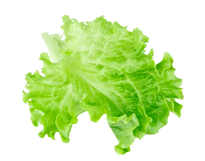 生菜 (2)超市商品白底图免抠实物摄影png格式图片透明底