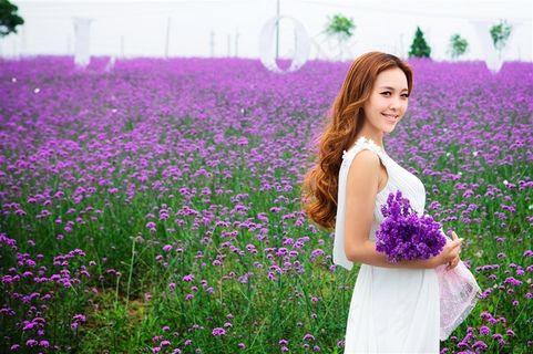 浪漫薰衣草甜蜜恋人婚纱高清特写