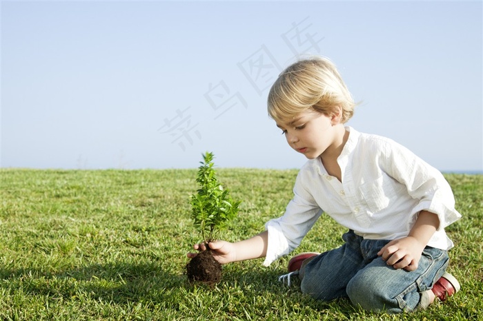 种植小树苗的男孩