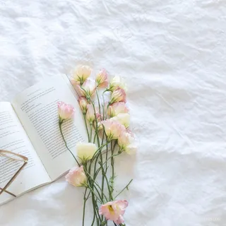 母亲节康乃馨书本摄影背景图片 母亲节康乃馨书本摄影背景图片