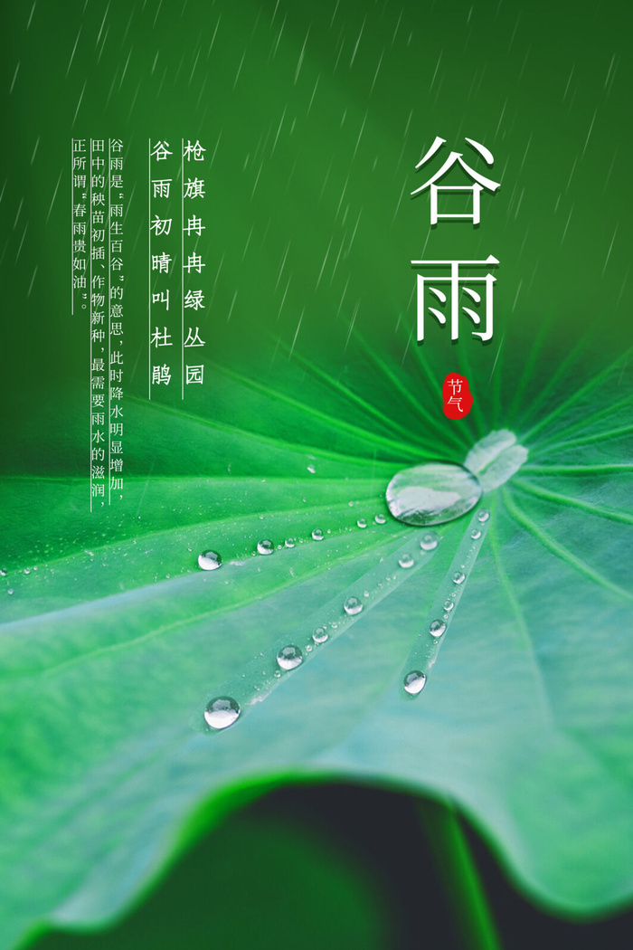 绿色中国风谷雨节日海报