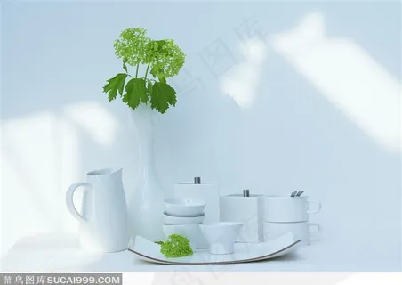 一套白色的瓷器和绿色的植物 一套白色的瓷器和绿色的植物