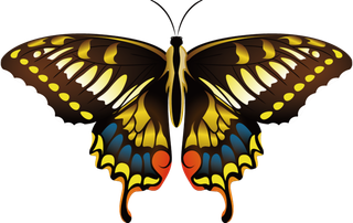 卡通动画动画蝴蝶免扣PNG手绘插画图片素材 (46)